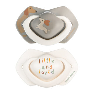 Canpol babies Dudlík silikonový symetrický Light touch GOOSE 0-6m 2ks